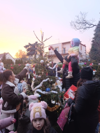 10128d65-3439-4d70-8df8-fb9990b1e892