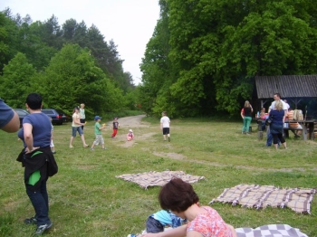 20130603220317_51acf68571a01