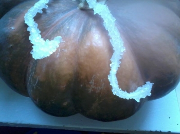 20121107215432_509aca88ac589