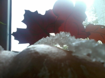 20121107215449_509aca996125a